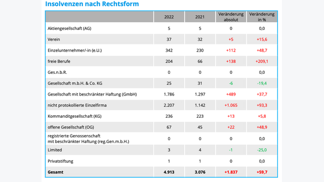 Insolvenzen nach Rechtsform 2022