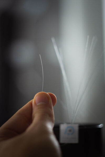 © RVmagnetics RV Magnetics, Haare in der Hand