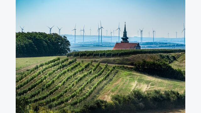 Windräder in Niederösterreich produzieren Windenergie. Besonders herausragend als Hauptumsatzträger zeigt sich der Energieversorger EVN AG mit einem Umsatz von 4,1 Mrd. €, was einem Anstieg von 69,6 % im Vergleich zum Vorjahr entspricht.