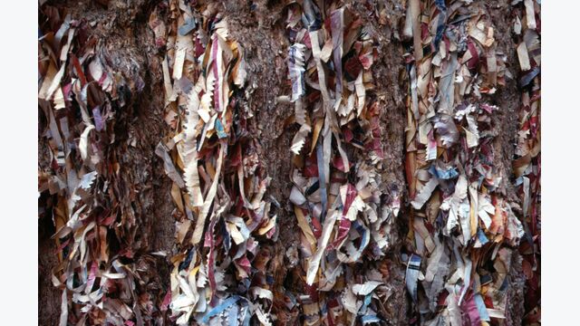 Eine wichtige Rohstoffquelle für Österreichs Papierindustrie: Altpapier