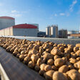 Agrana investiert massiv in Österreichs einzige Kartoffelstärke-Fabrik