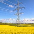 stromleitung, hochspannungsleitung, energie, elektrizität, mast, überlandleitung, hochspannung, strommast, kraft, feld, himmel, emporragen, landschaft, natur, electric, blau, leitung, spannung, wind, kabel, branche, high, umwelt, gras, green, ackerbau, gelb, turbine, pflanze, sommer