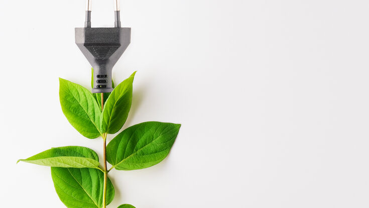 © Getty Images/iStockphoto Power plug with green leaves over white background. Copy space