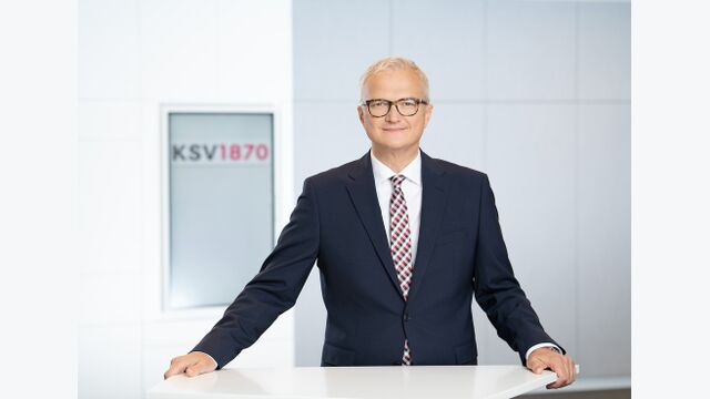 BILD zu OTS - CEO Mag. Ricardo-Jos? Vybiral, MBA