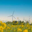 Wind turbine on grassy yellow field against cloudy blue sky in rural area during sunset. Offshore windmill park with stormy clouds in farmland Poland Europe. Wind power plant generating electricity. Renewable green clean energy. Sustainable living