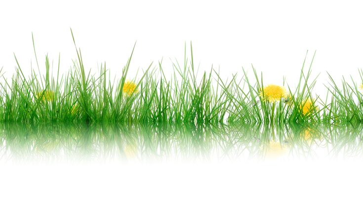 © Fotolia Green IT