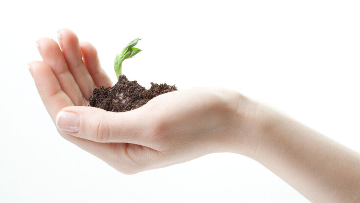 Förderung Startup hand spring buisness beginning clipping path clipping path birth bud care concept conceptual creative creativity dirt earth ecology goal green grow holding hope idea inspiration isolated leaf life new plant preservation protection responsibility seed small soil sprout white young hand spring buisness beginning clipping path clipping path birth bud care concept conceptual creative creativity dirt earth ecology goal green grow holding hope idea inspiration isolated leaf life new plant preservation protection responsibility seed small soil sprout white young