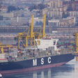 Hafen Schiff MSC Hafen Triest Porto di Trieste Export Exporte Import Importe Aussenhandel