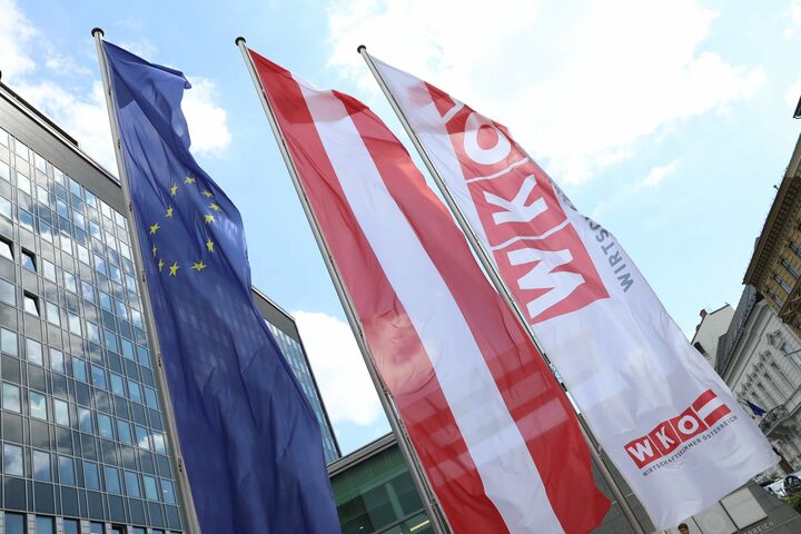 Wirtschaftskammer WKÖ Mahrer Steuerreform Ökologisierung