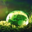Glass globe on green moss in nature concept for environment and conservation