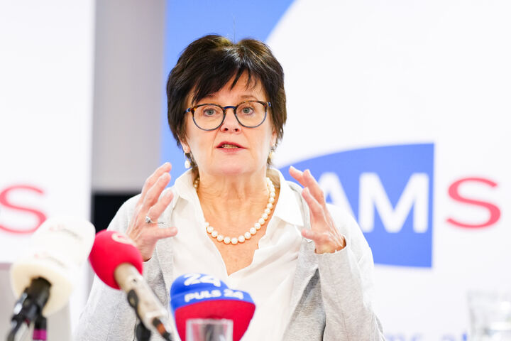 ABD0077_20240103 - WIEN - ?STERREICH: Ams Wien-Gesch?ftsf?hrerin Petra Draxl im Rahmen einer Pressekonferenz des Arbeitsmarktservice (AMS) "K?nstliche Intelligenz im AMS - Der Berufsinfomat", am Mittwoch, 03. J?nner 2023, in Wien. - FOTO: APA/EVA MANHART