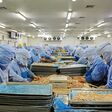 Workers in a meat processing production line, in a food processing enterprise, on December 20, 2013, tangshan city, hebei province, China.