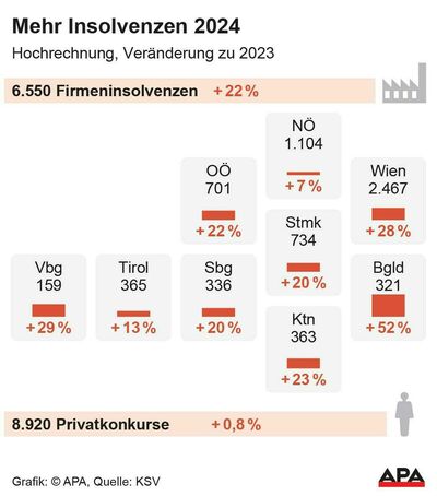 Insolvenzen von Unternehmen und Privatkonkurse 2024, Quelle: KSV; Die Auslieferung der APA-Grafiken als Embed-Code ist ausschlie?lich Kunden mit einer g?ltigen Vereinbarung f?r Grafik-Pauschalierung vorbehalten. Dabei inkludiert sind automatisierte Schrift- und Farbanpassungen an die jeweilige CI. F?r weitere Informationen wenden Sie sich bitte an unser Grafik-Team unter grafik@apa.at. GRAFIK 1698-24, 88 x 100 mm