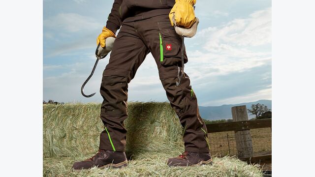 Beste Arbeitshose 2025: Engelbert Strauss e.s.motion 2020 Winter-Bundhose