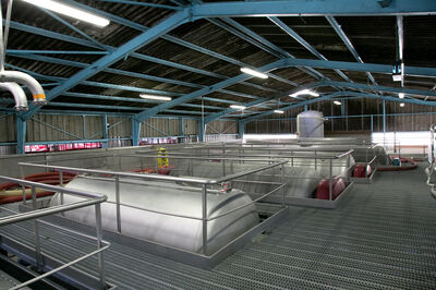 Dieinertisierungderweintanksverhindertdenschaumldlicheneinflussvonsauerstoff