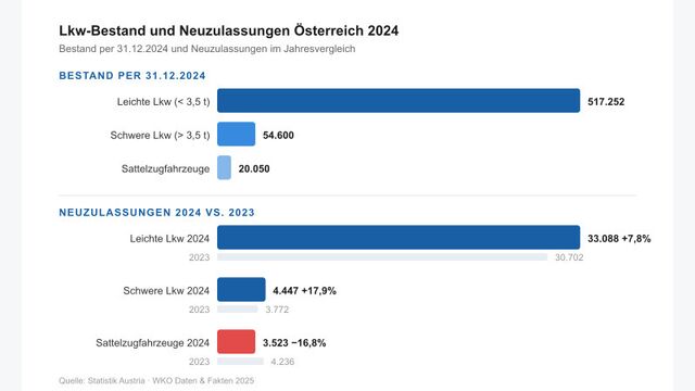 Grafik: Neuzulassungen bei LKW 2024