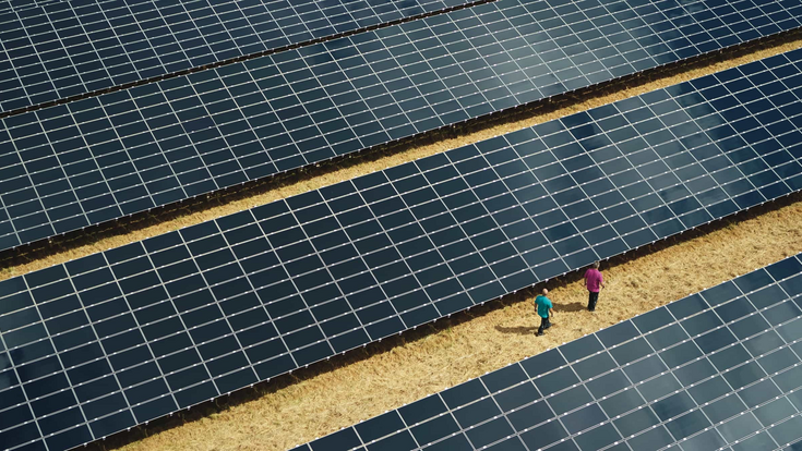 Luftansicht auf riesige Photovoltaikanlage mit zwei Menschen daneben